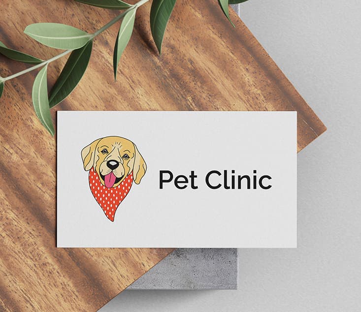 Pet Clinic
